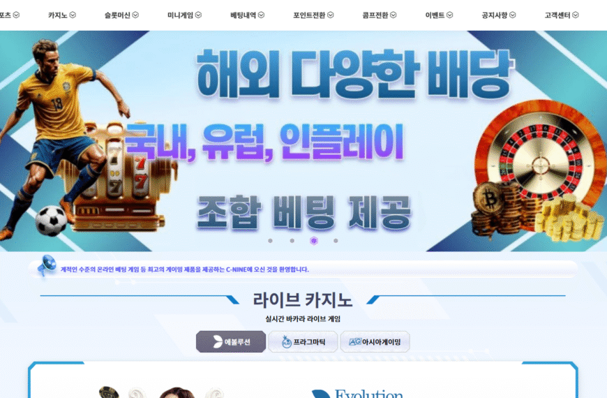 먹튀사이트 씨나인