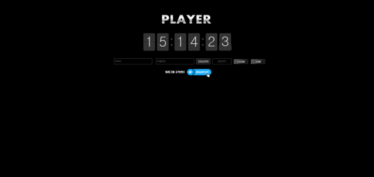 먹튀사이트 플레이어