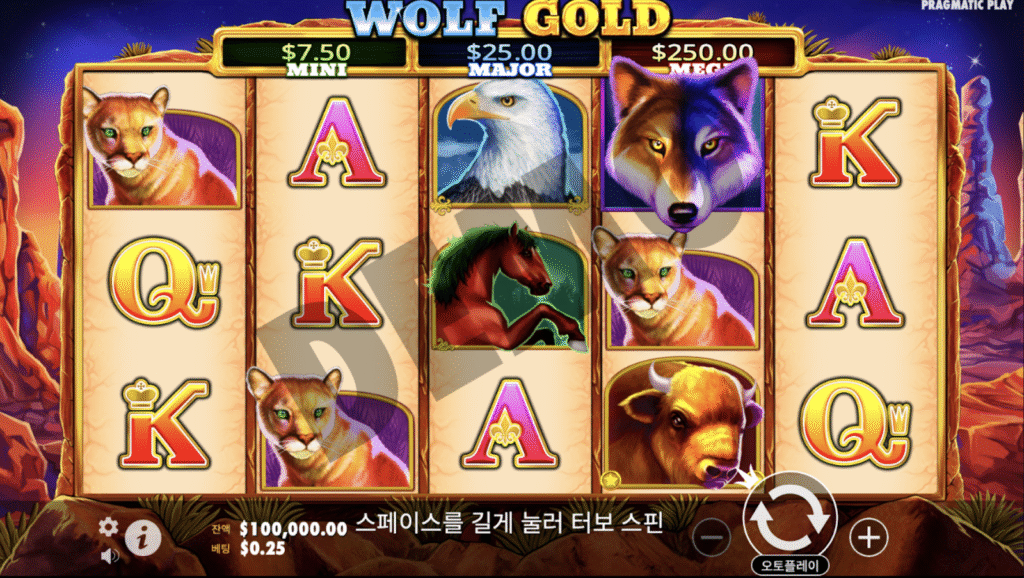 울프 골드 (Wolf Gold)