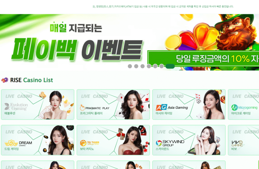 먹튀사이트 라이즈