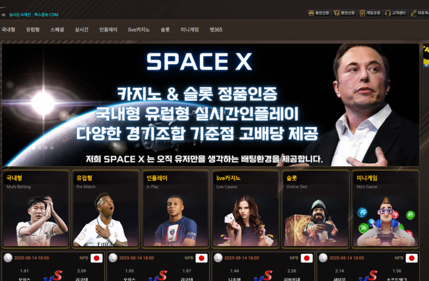 먹튀사이트 스페이스X