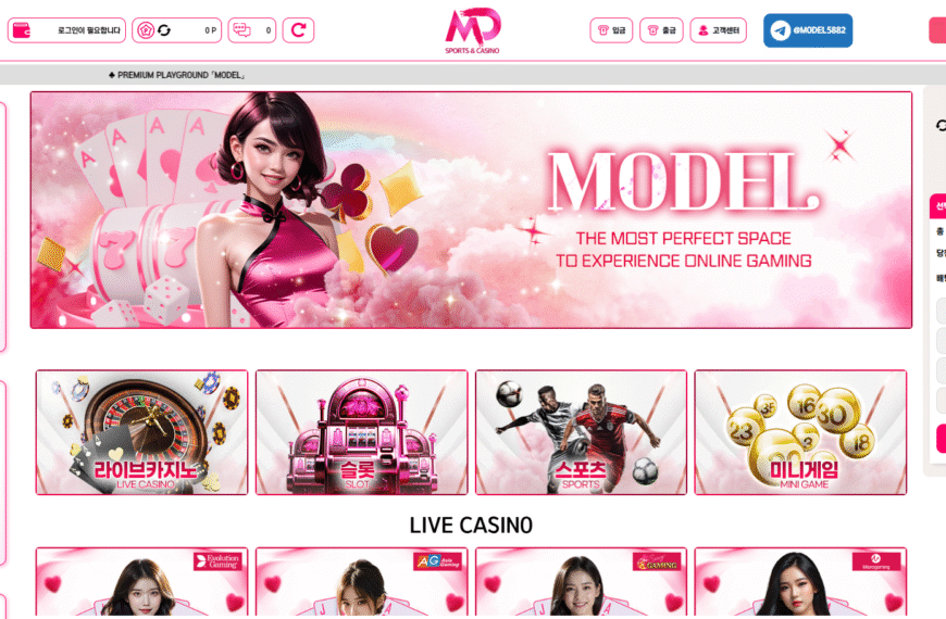 먹튀사이트 모델