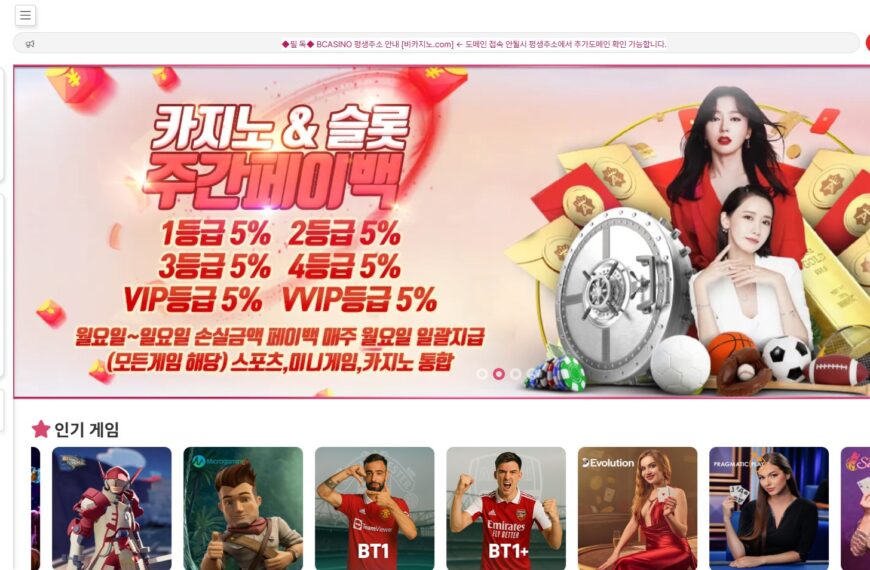 먹튀사이트 비카지노