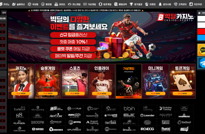 먹튀사이트 빅딜카지노